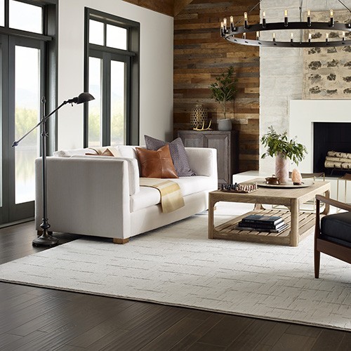 Nice area rug in living room | Lowell Carpet & Coverings